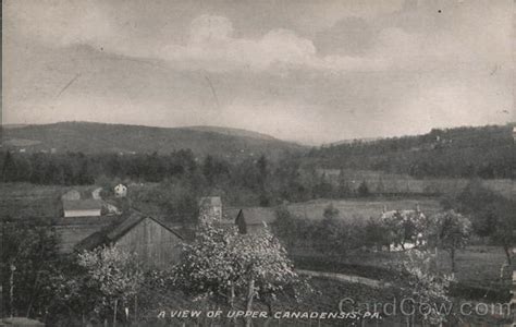 A View Of Upper Canadensis Pa Pennsylvania Postcard