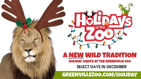 Greenville Zoo Holiday Lights