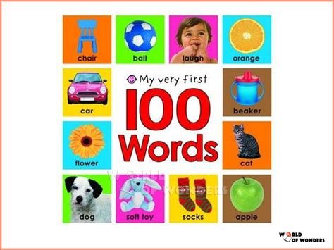 World Of Wonders Bright Baby My Very First 100 Words
