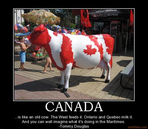 The best gifs for happy canada day. Canada Funny Quotes. QuotesGram
