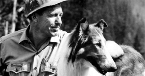 What Type Of Collie Was Lassie The True Story Behind The Famous Collie