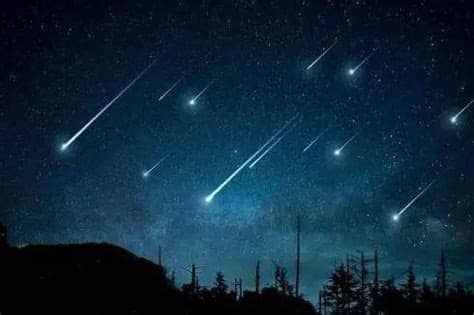 香港電影評論學會大獎最佳電影每年由香港電影評論學會頒發，表揚年度最出色的香港電影。 《麥兜菠蘿油王子》是本獎項唯一獲獎的動畫電影，亦是至今唯一的入圍者。 † 代表香港電影金像獎得獎者。 ‡ 代表香港電影金像獎提名者。 § 「趣科普」2019年天宇將「下」多場美麗且浪漫的流星雨 - 每日頭條