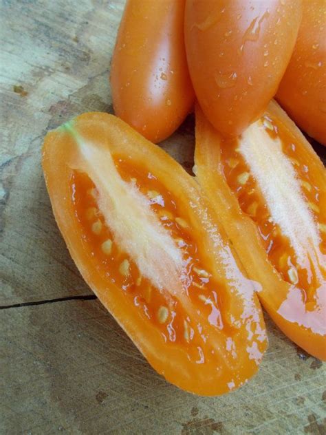 Orange Banana Legs Tomato Seeds Organic Seed Heirloom Tomato Etsy