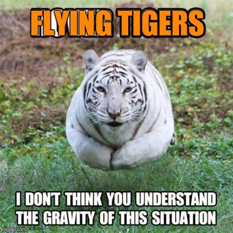 When Tigers Ruled The Skies And Tiger Week Imgflip
