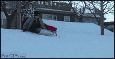 Hulu continues its holiday tradition of addictive 'yule log' alternatives. Dog Steals Sled GIFs - Find & Share on GIPHY