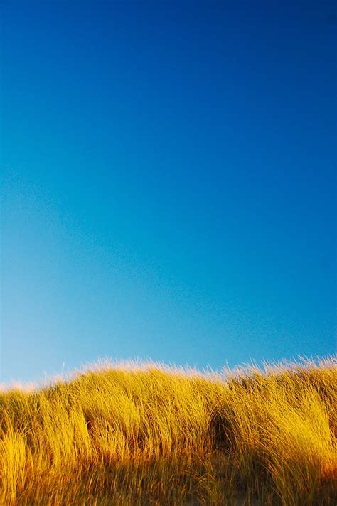 Grass Field Minimalism Nature Hd Phone Wallpaper Peakpx