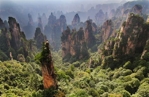 Forest In Hunan China 4k Ultra Hd Wallpaper Background Image 5119x3340