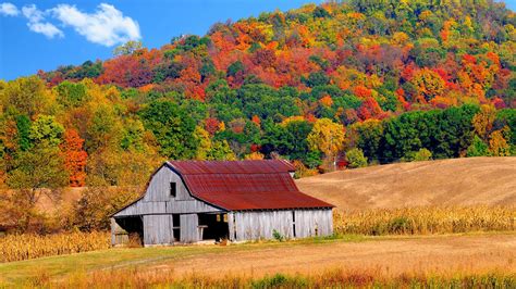 Free Download Autumn Barn 135780 High Quality And Resolution Wallpapers