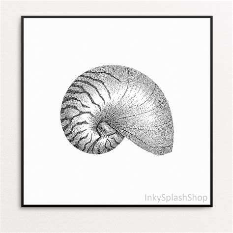 Seashell Print Nautilus Shell Ink Drawing Coastal Wall Art Printable