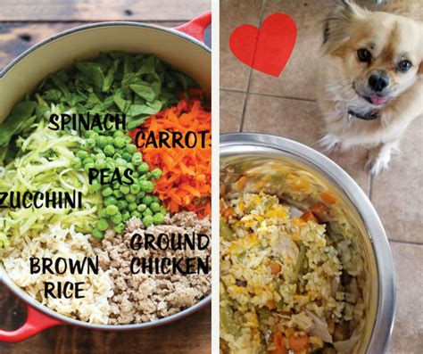 For dogs with type i diabetes, a diet high in fiber and complex carbohydrates is recommended to slow digestion and the release of sugar into the bloodstream. 7 Homemade Dog Food Recipes Every Dog Parent Should Know ...