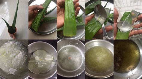 The aloe vera oil is stable and does not separate, so you don't need to refrigerate. Erivum Puliyum: Amla Hair Oil & Aloe Vera Hair Oil - DIY ...