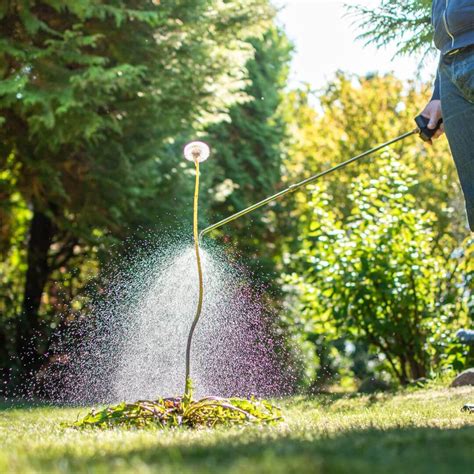 The Best Weed Control Service In Coeur D Alene Aspen Lawn Care
