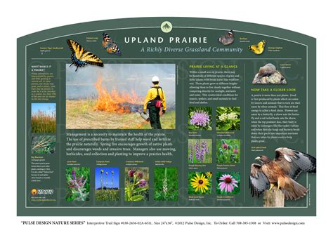 Outdoor Interpretive Nature Trail Sign In Prairie Meadow And Grassland
