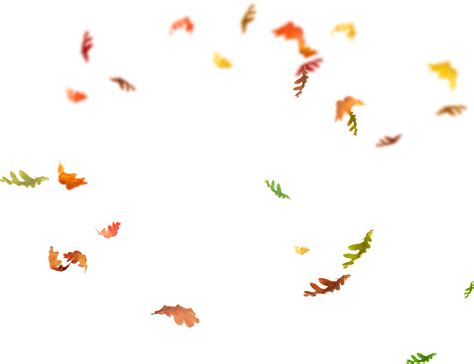 Leaf Overlay Falling Png Download 16001232 Free Transparent Leaf