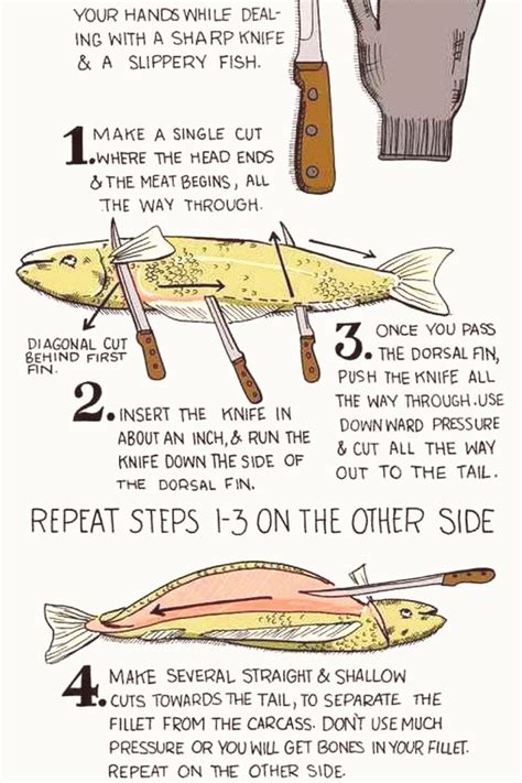 61 Fishing Tips And Tricks Hacks Savvy Ways About Things Can Teach Us