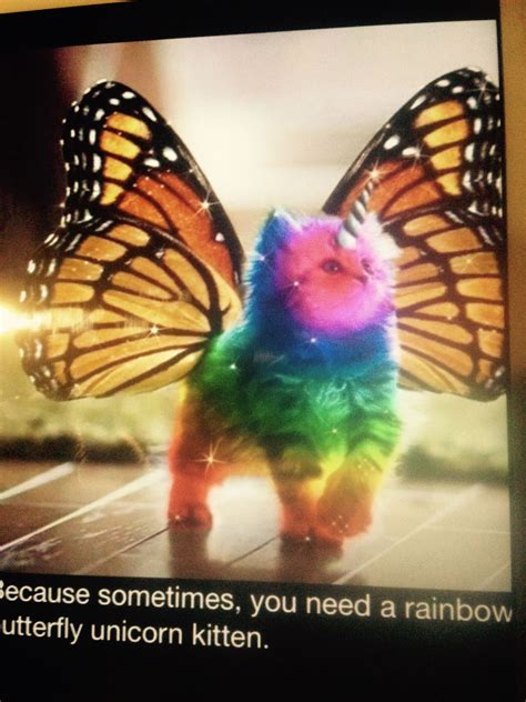 26 Best Ideas For Coloring Unicorn Kitten Rainbow