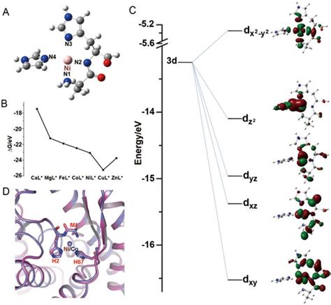 The Approximately Square Planar Geometry Of The Metal Binding Site