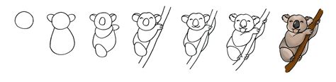 Koala Drawing Step By Step At Explore Collection