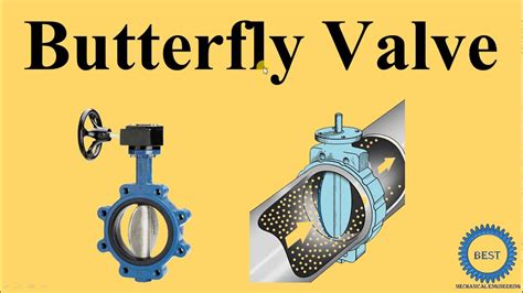 Purpose Of A Butterfly Valve Butterfly Valves Types Avm Different Many