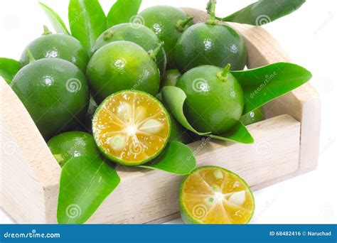 Citrus Calamondin Stock Photo Image Of Calamondin Juice 68482416