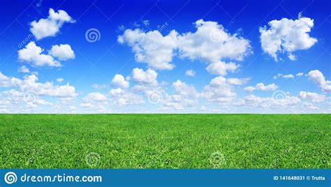 Idyllic View Green Field And Blue Sky With White Clouds Stock Image