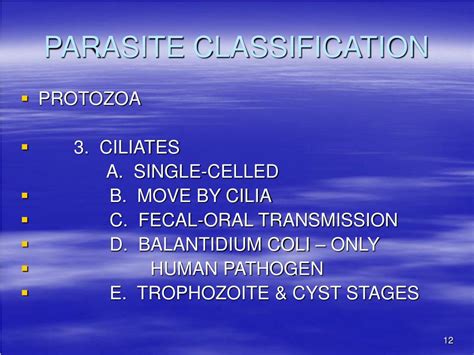 Ppt Diagnostic Parasitology Powerpoint Presentation Free Download Id 333956