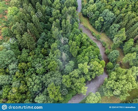 Aerial View Of A River With Trees Stock Image Image Of Drone Germany