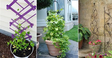 24 Easy Diy Plant Trellises For Pots Balcony Garden Web