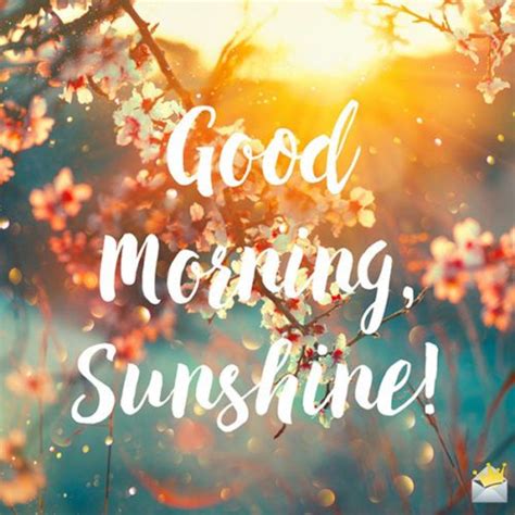Good Morning Sunshine Wallpapers