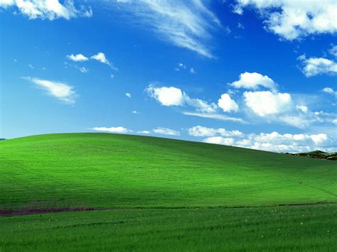Download Windows Microsoft Background On By Frankb Microsoft IPhone Wallpapers Wallpaper