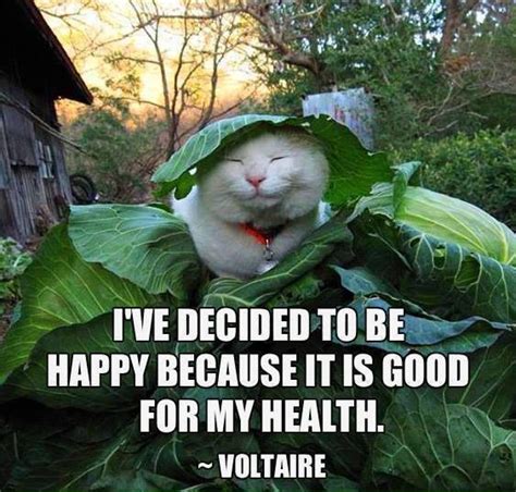 Ive Decided To Be Happy Because It Is G Voltaire Happy Quote