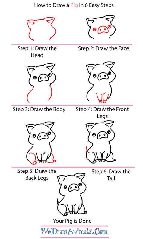 Easy How To Draw A Pig Tutorial Video And Pig Colorin