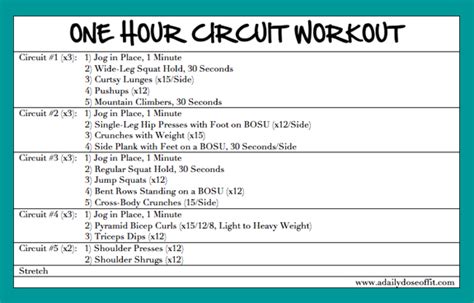 A Daily Dose Of Fit One Hour Circuit Workout Weekend Recap