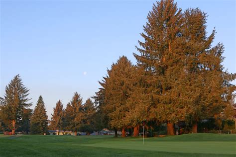Capitol City Golf Club Olympia Wa