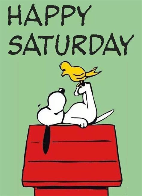 Happy Saturday Snoopy Love Snoopy E Woodstock Charlie Brown Snoopy