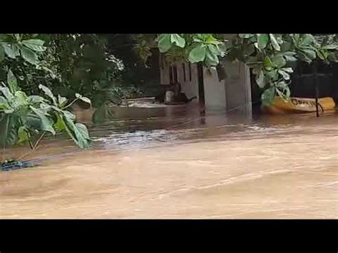 Banjir di sebagian wilayah kalsel terjadi sejak beberapa hari lalu karena derasnya curah hujan yang tinggi. Banjir Terparah di Pelaihari Tanah Laut KalSel. Akibat ...