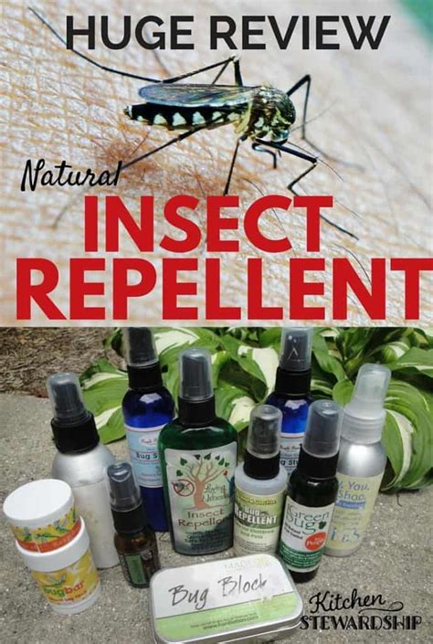 The Best All Natural Bug Spray