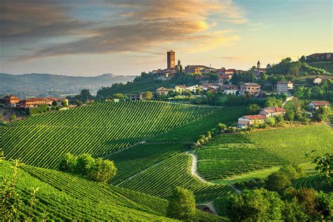 Barbaresco Village And Langhe Vineyards Piedmont Italy Europe