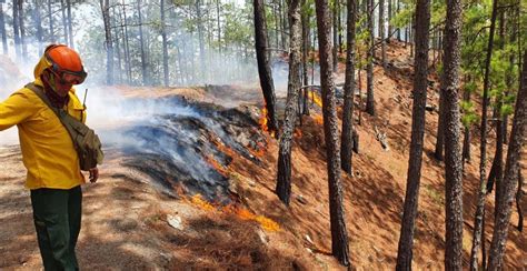Inab Lanza Campaña Para La Prevención De Incendios Forestales