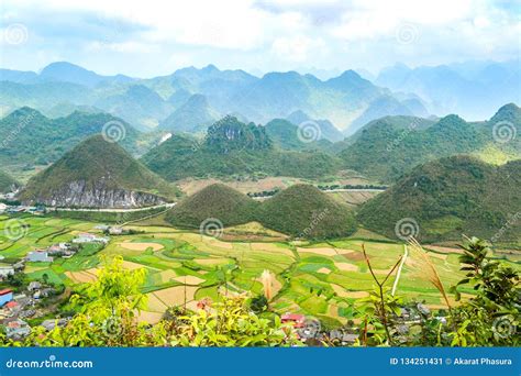 Bac Son Valley With Rice Field In Harvest Time Lang Son Province