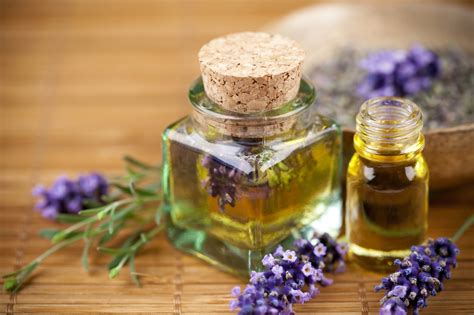 La Aromaterapia Y Sus Beneficios Los Aceites Esenciales Compartiendo