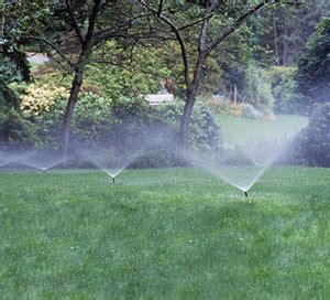 Die bewässerung verschiedenster pflanzen gehört zur essenziellen pflege rund um haus und garten sowie auf der parzelle. Gartenbewässerung selber bauen | OBI Gartenplaner