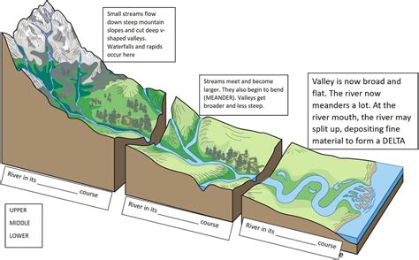 River Erosion Diagram Quizlet