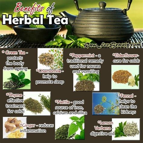 Uses Of Herbs Herbal Tea Benefits Tea Health Benefits Health Tips