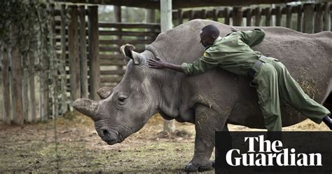 The Week In Wildlife In Pictures Environment The Guardian