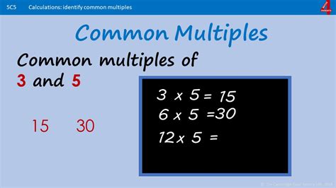 What Are The Types Of Number Used In Maths