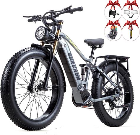 Damson Electric Bike 1000w 48v 20ah175ah Removable