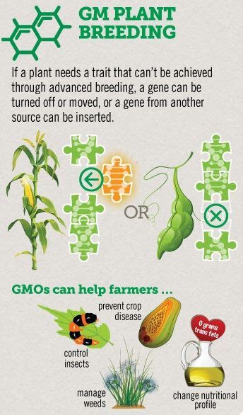 Get To Know Gmos Month Gmo Basics Gmo Answers Plant Breeding