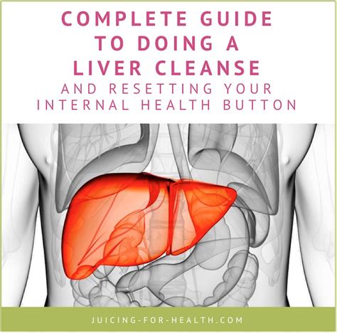 Liver Cleanse Complete Guide On How To Cleanse Your Liver