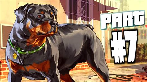 Gta 5 Pc Chop The Dog Max Settings Gameplay 60fps Youtube